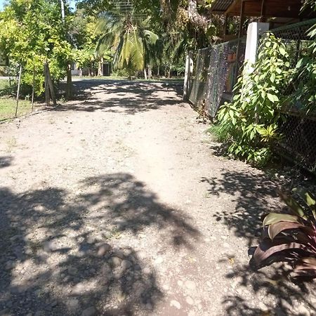 Hotel Green Mountain Cahuita Bagian luar foto