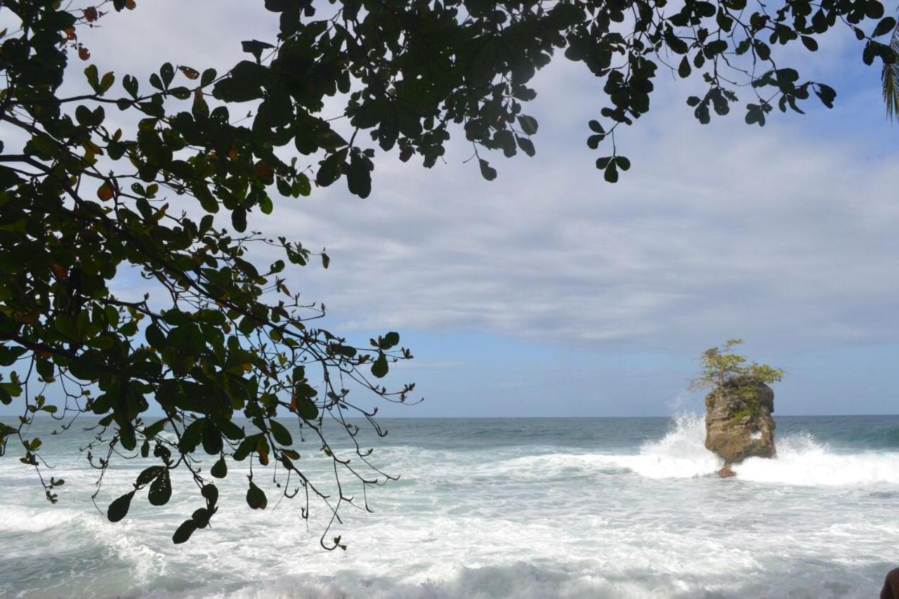 Hotel Green Mountain Cahuita Bagian luar foto