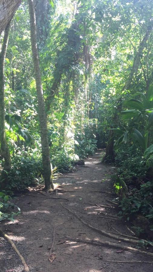 Hotel Green Mountain Cahuita Bagian luar foto